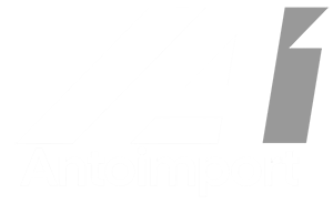 Логотип ANTOIMPORT