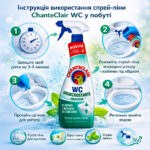 Спрей-піна для видалення каменю ChanteClair WC 625мл