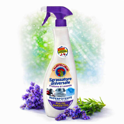 Універсальний обезжирювач спрей ChanteClair Лаванда 600мл