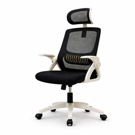 Фото офісного крісла ергономічного Diego ErgoFlex сітка біло-чорне на білому фоні