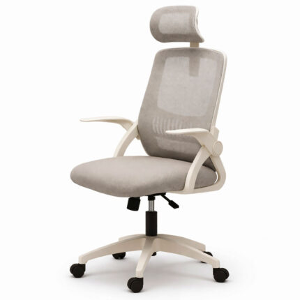 Офісне крісло ергономічне Diego ErgoFlex сітка біло-сіре на білому фоні